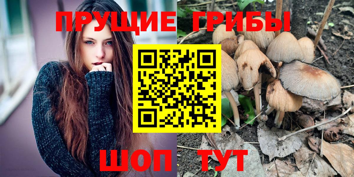 Биробиджан  купить наркоту  Вход с VPN  Галлюциногенные грибы Magic Shrooms 